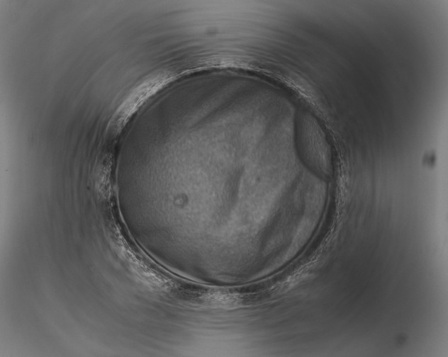 X0000115510977200912041058