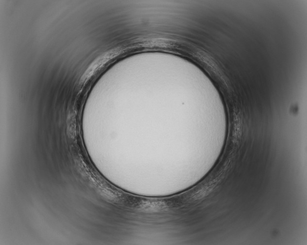 X0000115510978200912041058