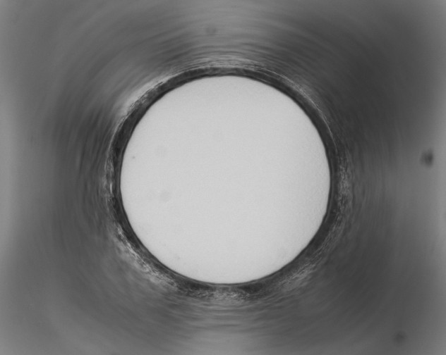 X0000115510979200912041058