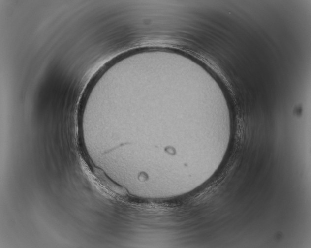 X0000115510980200912041058