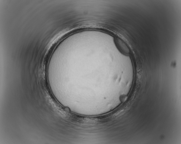 X0000115510981200912041058