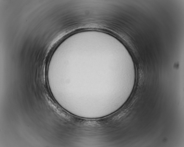 X0000115510982200912041058