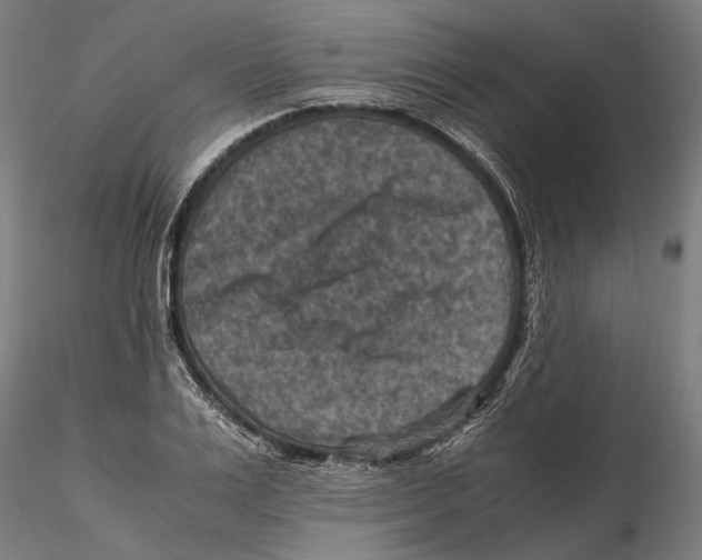 X0000115510983200912041058