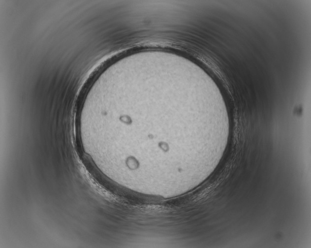 X0000115510984200912041058