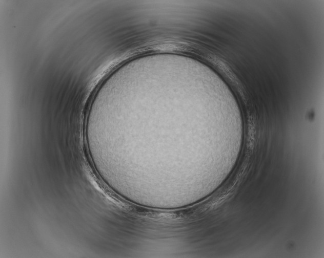 X0000115510986200912041058