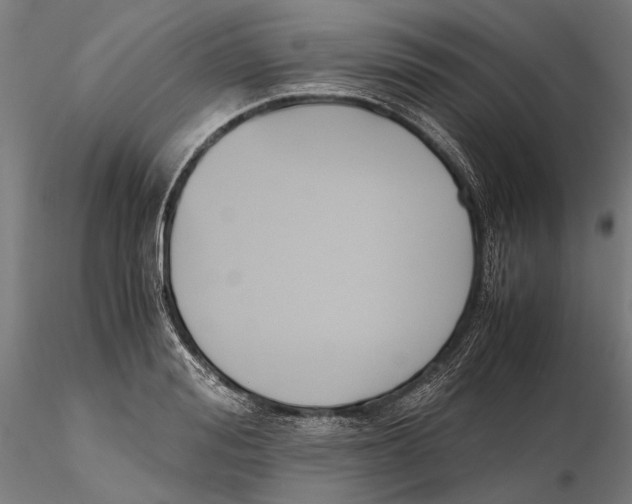 X0000115510988200912041058