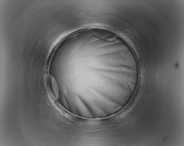 X0000115510989200912041057