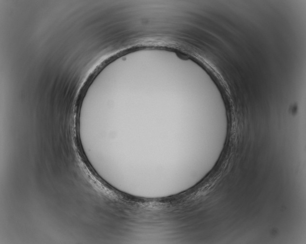 X0000115510992200912041057