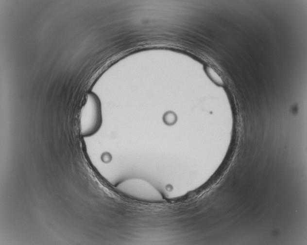 X0000115510993200912041057