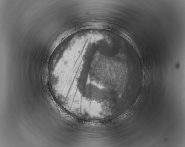 X0000115510994200912041057