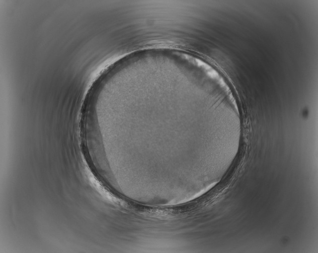 X0000115510995200912041057