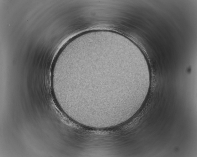 X0000115510996200912041057