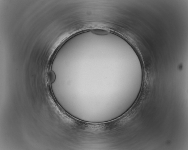 X0000115510997200912041057