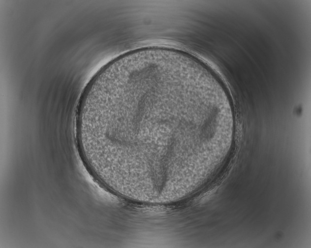 X0000115510999200912041057