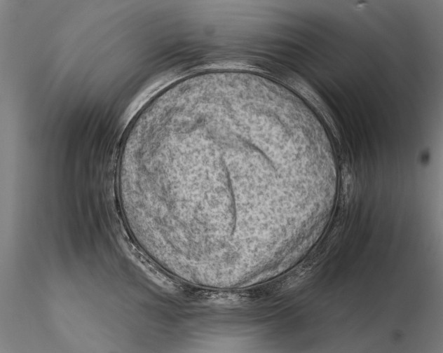 X0000115511002200912041057