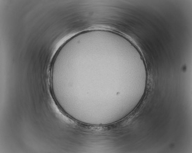 X0000115511003200912041057