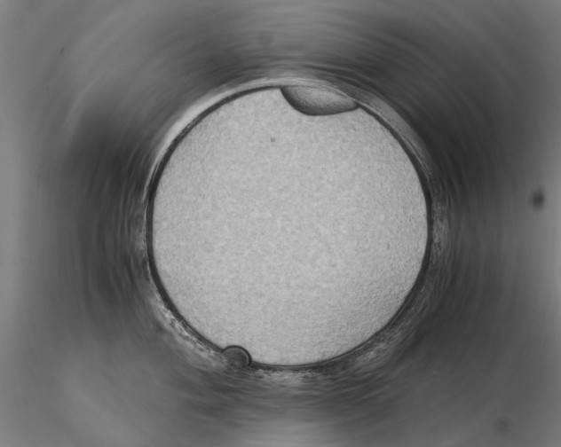 X0000115511004200912041057