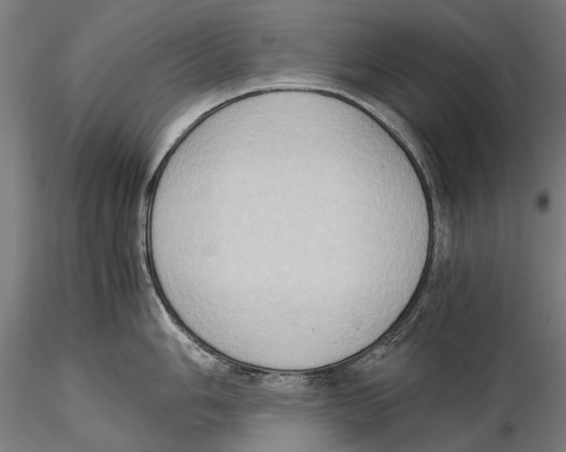 X0000115511006200912041057