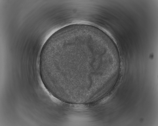 X0000115511007200912041057