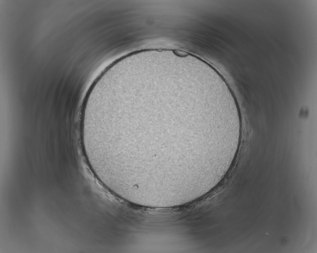 X0000115511008200912041057