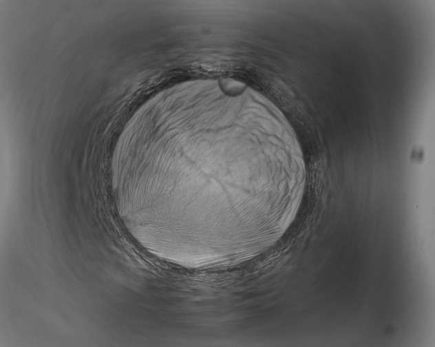 X0000115511009200912041057