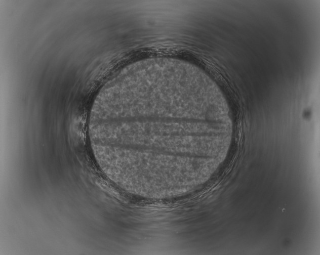 X0000115511010200912041057