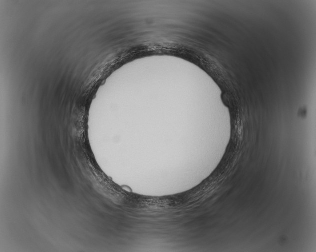 X0000115511012200912041057