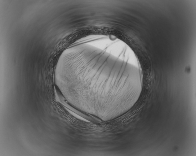 X0000115511013200912041057