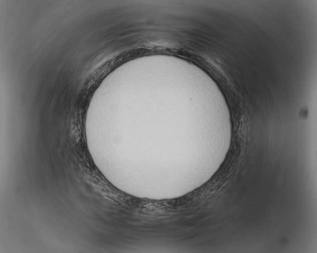 X0000115511015200912041057