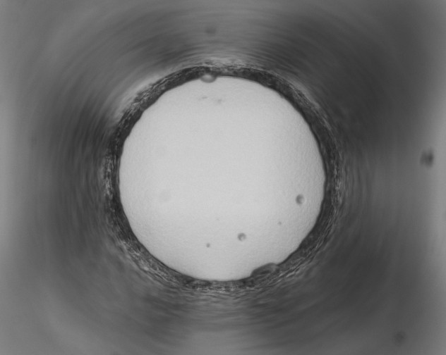 X0000115511016200912041057