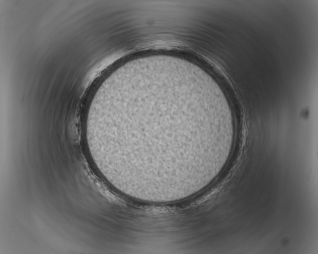 X0000115511018200912041057