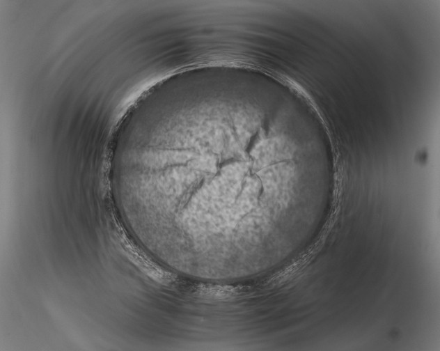 X0000115511019200912041057