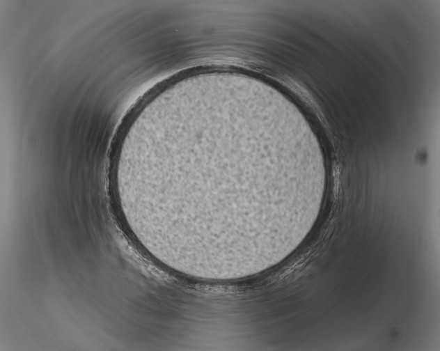 X0000115511020200912041057