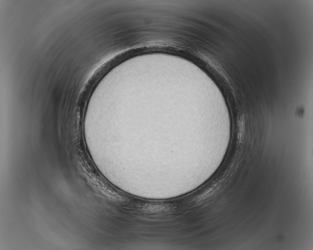 X0000115511021200912041057