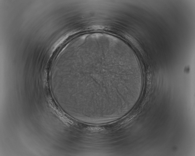 X0000115511023200912041057