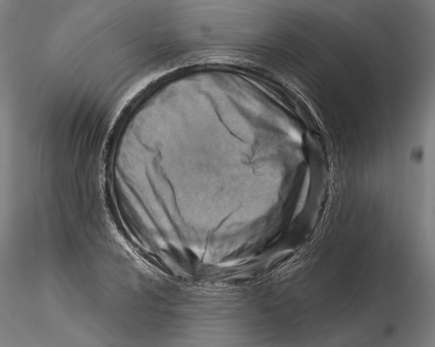 X0000115511024200912041057