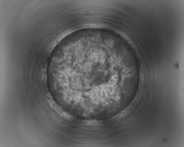 X0000115511025200912041057