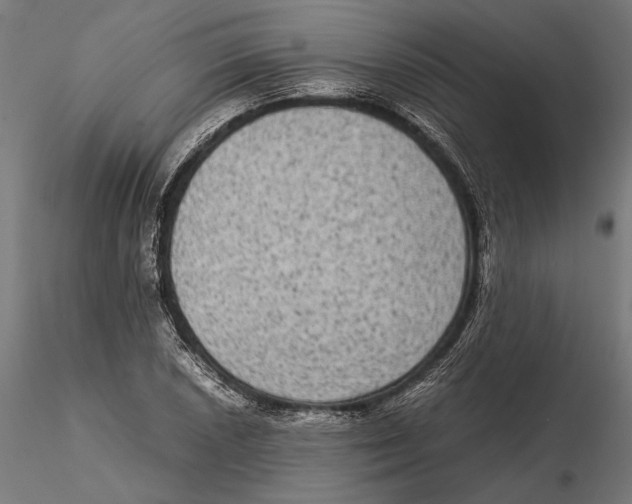 X0000115511026200912041057