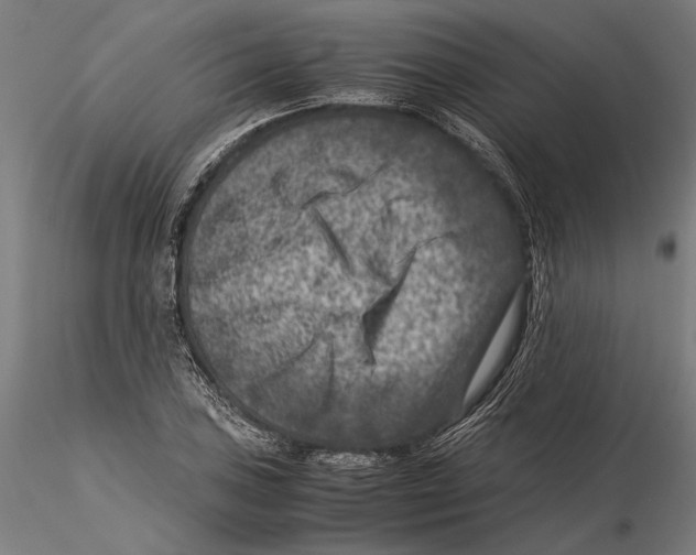 X0000115511027200912041057