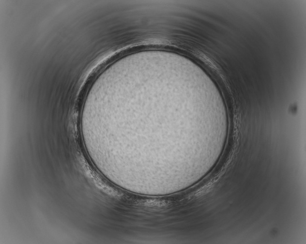 X0000115511029200912041057