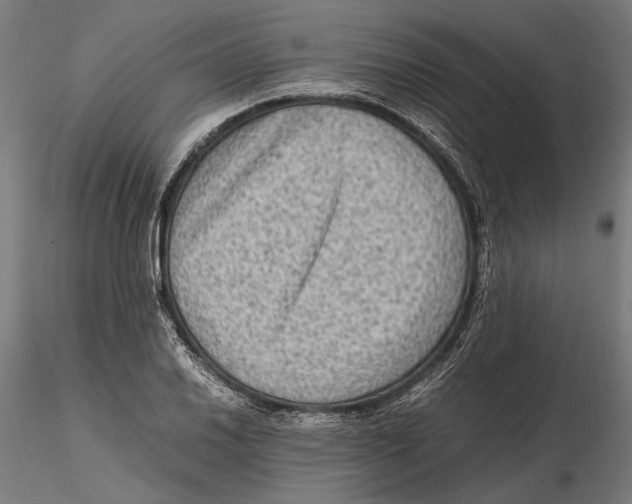 X0000115511030200912041057