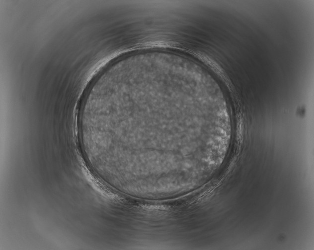 X0000115511031200912041057