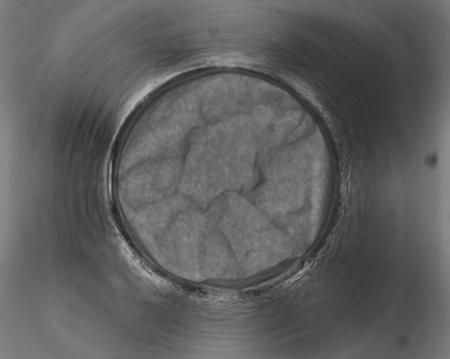 X0000115511032200912041057