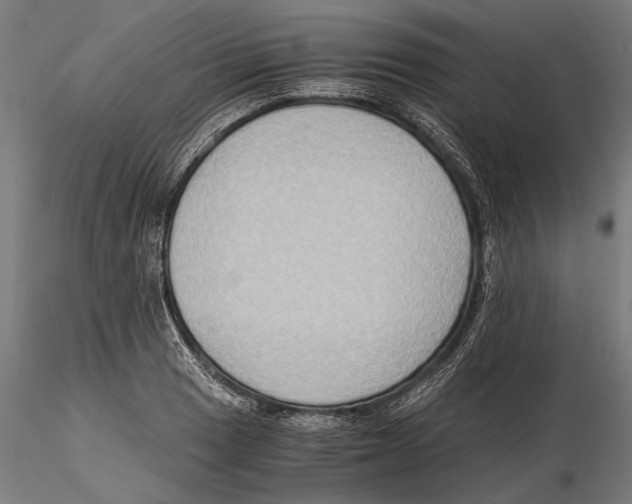 X0000115511033200912041057