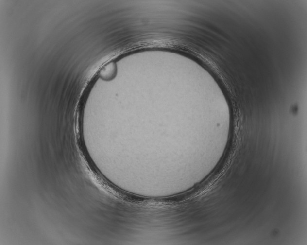 X0000115511034200912041057