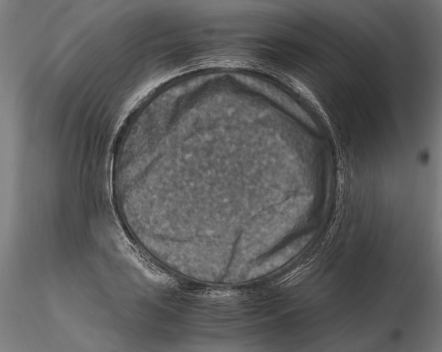 X0000115511035200912041057