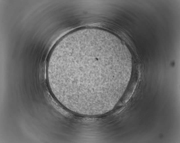 X0000115511036200912041057