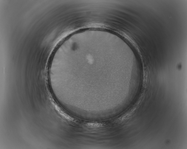 X0000115511037200912041057