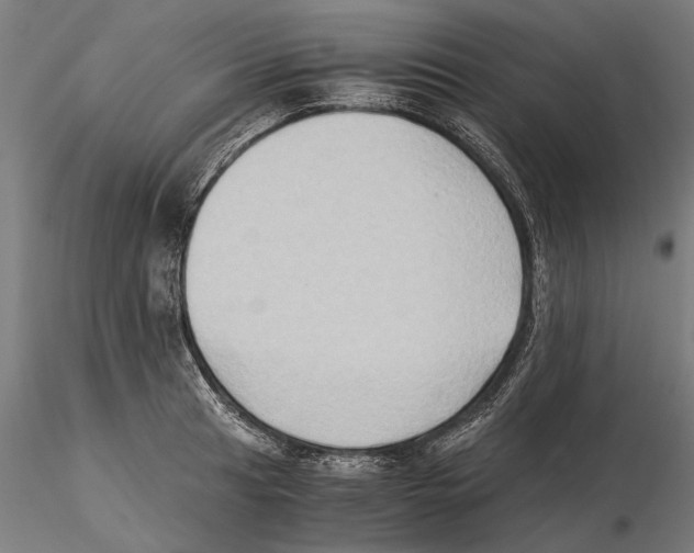 X0000115511041200912041057