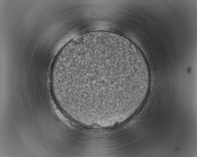 X0000115511042200912041057